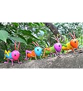 GIFTME 5 Metal Garden Grasshopper Wall Art Decorative Set of 4 Colorful Cute Locust Outdoor Wall ...