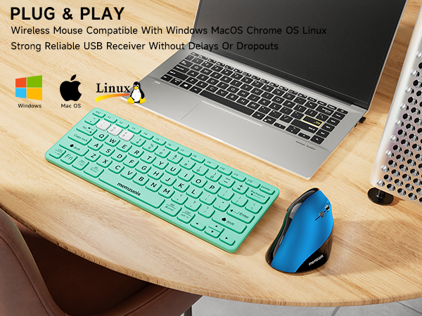 ergonomic mouse