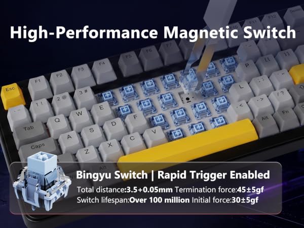 Bingyu Switches