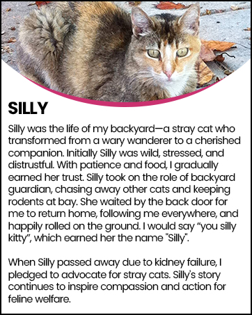 Silly
