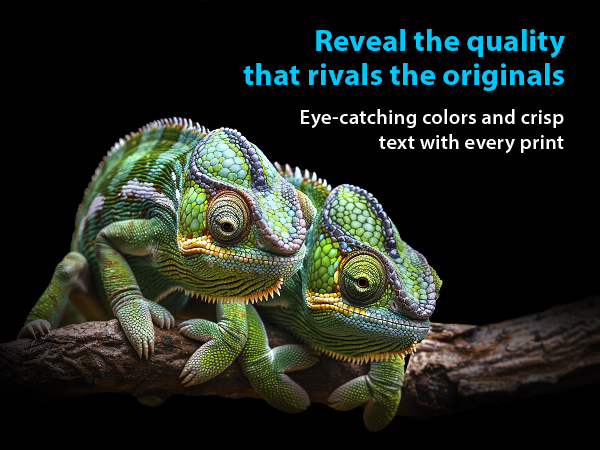 Reveal the Quality of Smart Ink Canon 280 2 pack