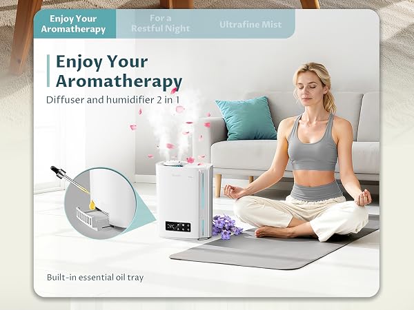 Humidifiers for Large Room