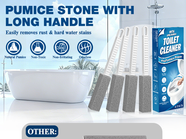 pumice stone toilet bowl cleaner