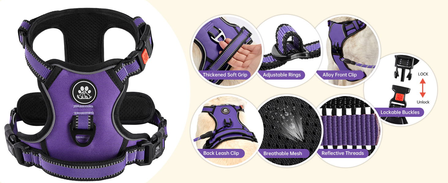 dog harness