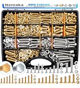 Bemaka 900Pcs Nuts and Bolts Assortment Kit, 304 Stainless Steel Bolts and Nuts Kit, 1/4-20, 5/16...