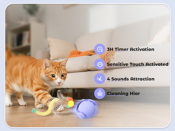 kitten toys