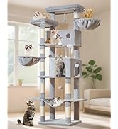 Taoqimiao Cat Tree, 76-Inch Cat Tower for Large Cats Multi-Level Large Cat Condos for Indoor Cats...