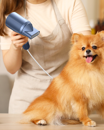 Pet hair dryer