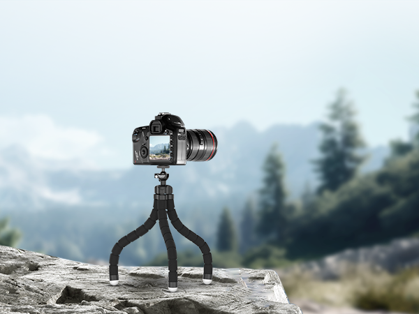 tripod with remote