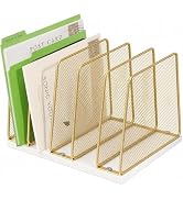 Becomrock 5-Section Vertical File Organizer for Desk, Gold | Sturdy Wood Base, Metal Mesh, Deskto...