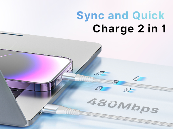 iPhone Charging Cord