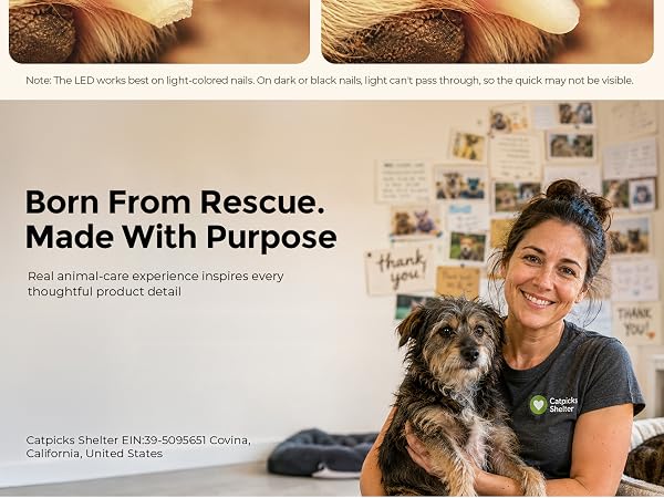 CATPICK animal rescue and pet care experience inspires practical grooming products for pets
