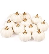 Whaline Artificial Pumpkins Bulk Vintage White Pumpkin Harvest Lifelike Pumpkin Fake Foam Pumpkin...