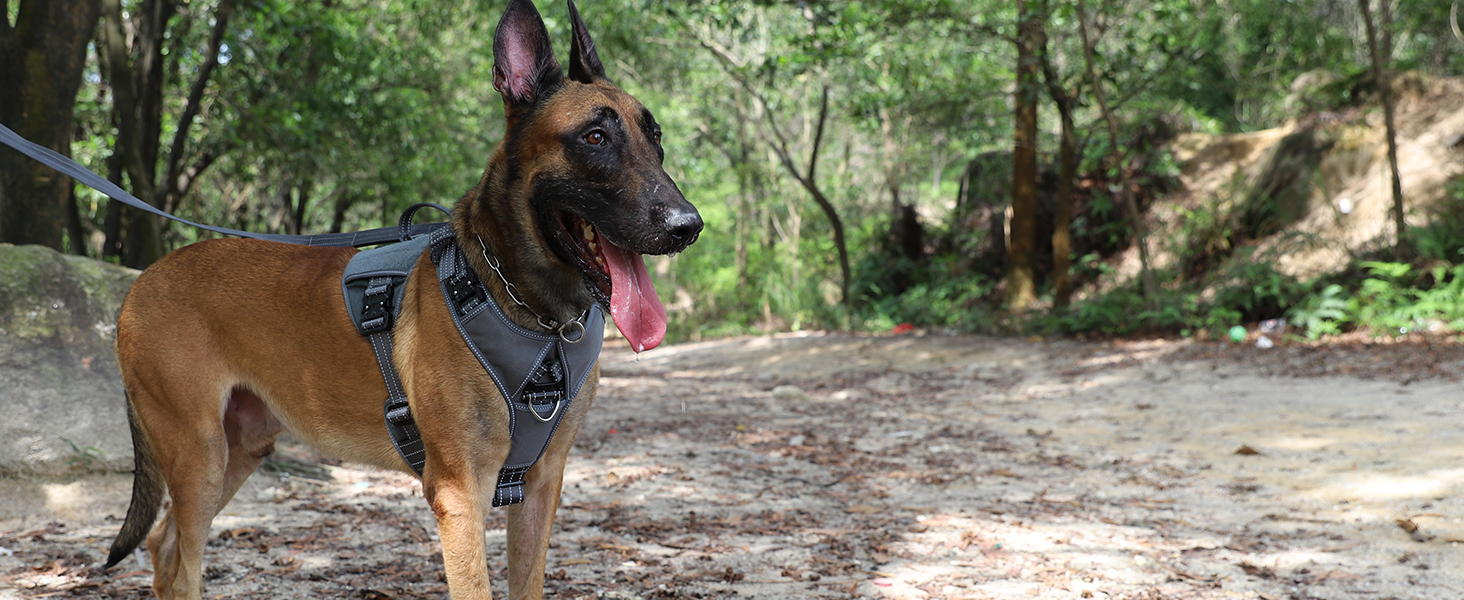 dog vest harness