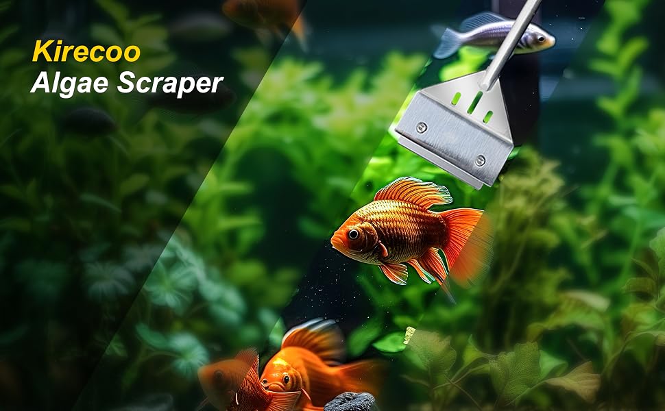 algae scraper for glass aquariums, glass scraper, scraper for cleaning, aquarium glass scraper