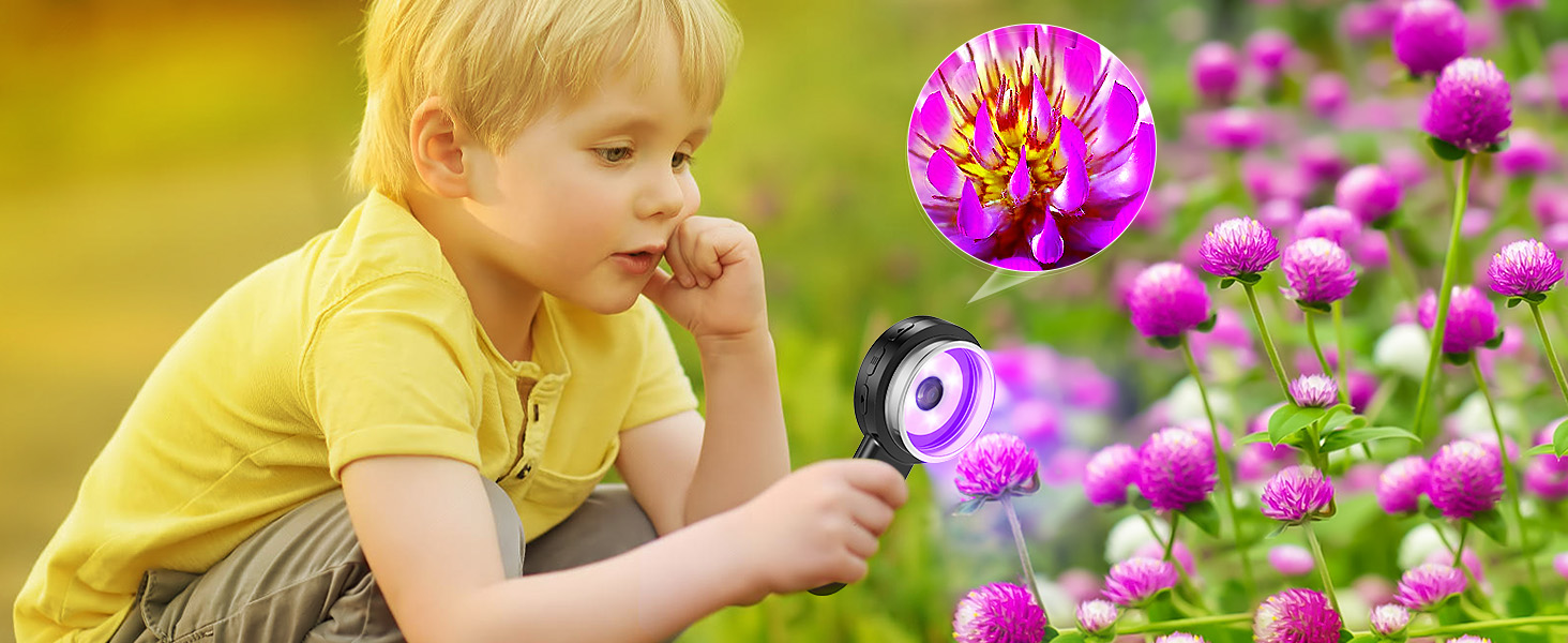 magnifying glass 30x