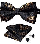 DiBanGu Black Gold Paisley Bow Tie for Men Adjustable Pretied Bow Tie Handkerchief Cufflinks