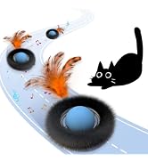 Interactive Cat Toy Ball-Automatic Motion Activated Ball Cat Toys for Indoor Cats, Rechargeable M...