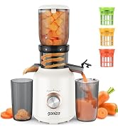 Ganiza Juicer Machines, Cold Press Juicer with Large Feed Chute for Whole Fruits & Vegetables, Sl...