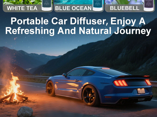 car diffuser-7