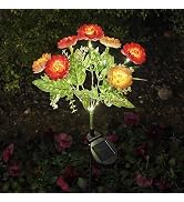 MEPEREZ Artificial Flowers, Christmas Courtyard Decoration, Outdoor Solar Decorative Lighting, Wa...