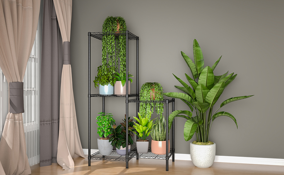 plant shelf indoor