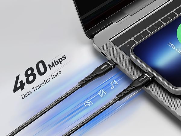 iphone charger -2