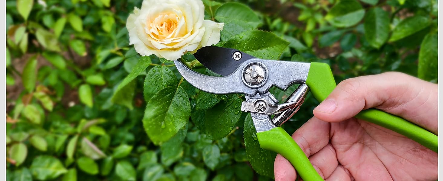 shears