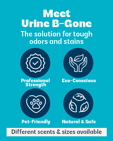 Meet Urine B-Gone