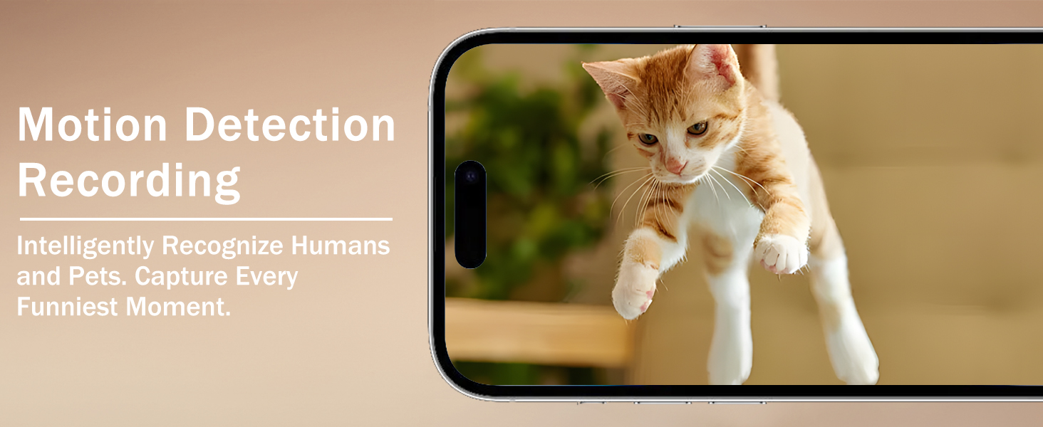 pet camera treat dispenser