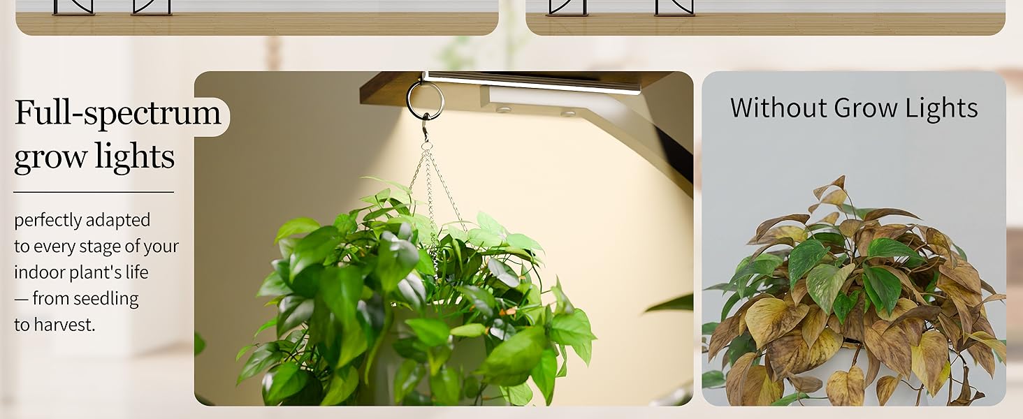 plant stands