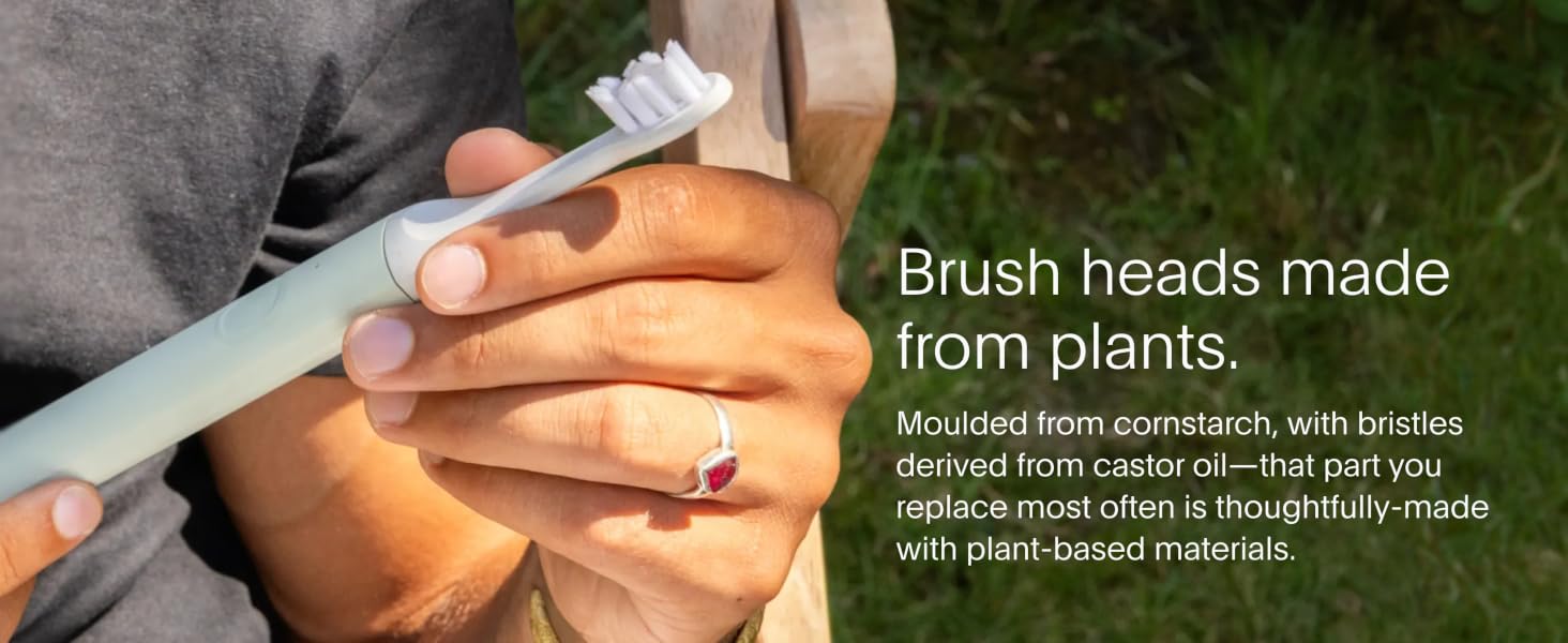 brush heads from plants