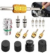 Pniwuno 16 PCS Air Conditioner Valve Core Kit, R134A A/C Ducts Pressure Caps and Service Valves, ...