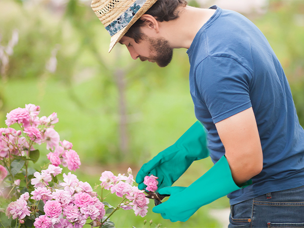 NG-Gardening