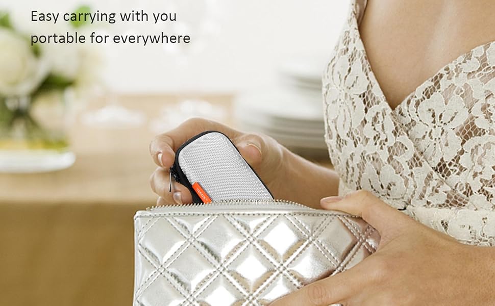 carrying case pouch
