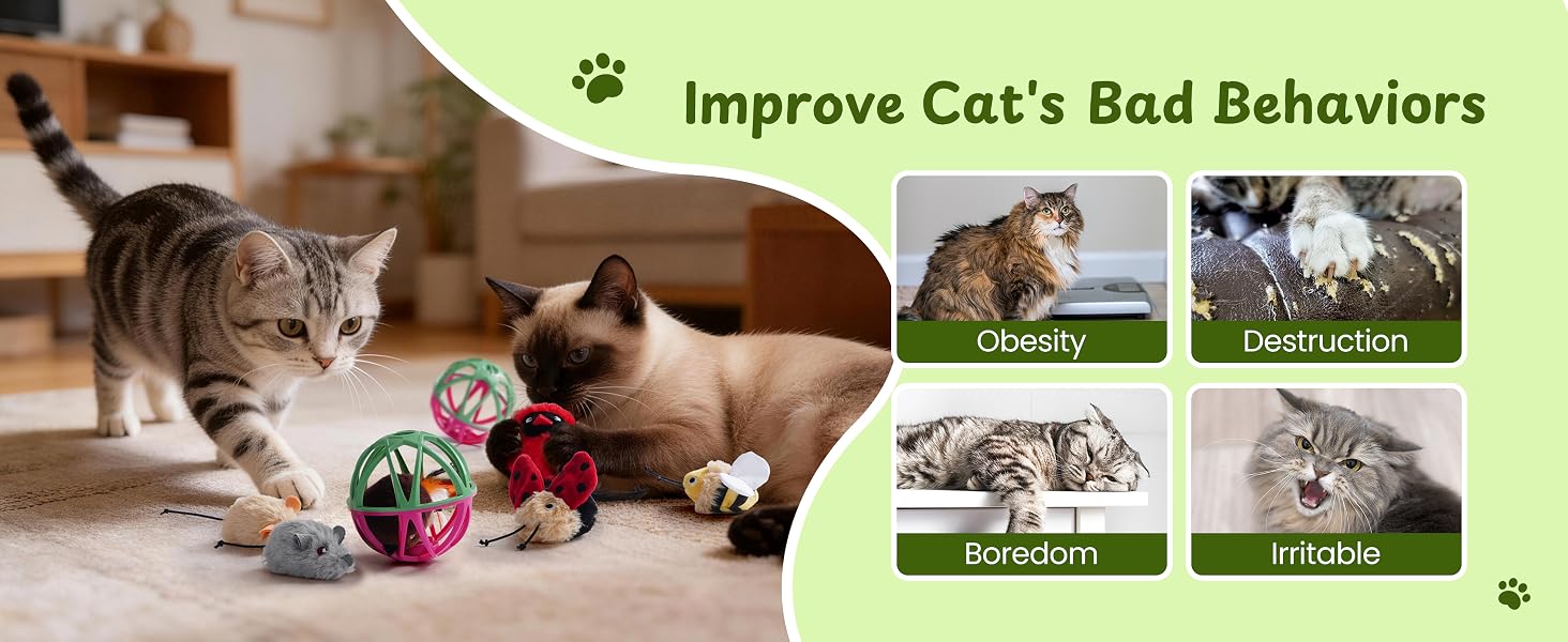 improve cat's bad behaviors