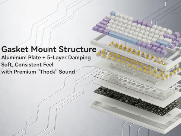 Gasket Mount Structure