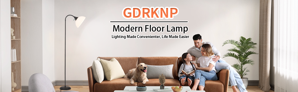 Adjustable Gooseneck Floor Lamp