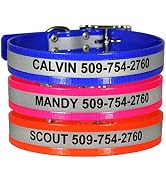 GoTags Reflective Waterproof Dog Collars Personalized, Engraved with Pet Name and Phone Number, E...