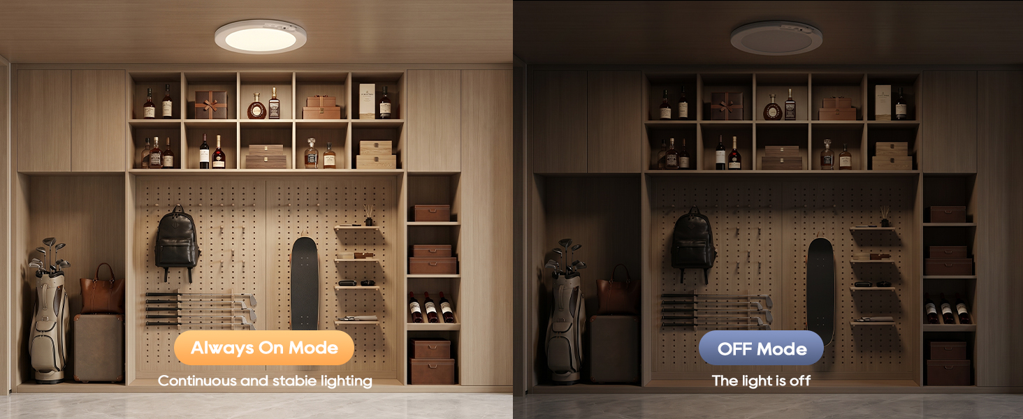 motion sensor ceiling light