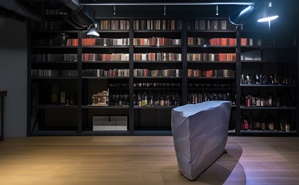 Fan-20 inch at reading room