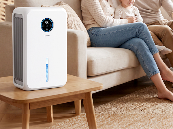 dehumidifier