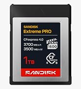 SANDISK Extreme PRO CFexpress Type B 1TB SD Card