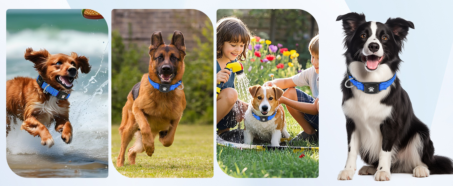 MYIWB Dog Tracking Collar for All Breeds, Waterproof, Durable, Multi-Scene Use