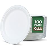 TaidMiao 9 Inch Paper Plates 100 Pack - 100% Compostable Dinnerware | Leak & Grease Resistant Dis...