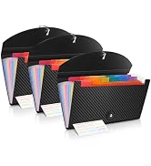 Receipt Organizer Cesil 13 Pockets Receipt Holder Small Accordion File Organizer Expanding File F...