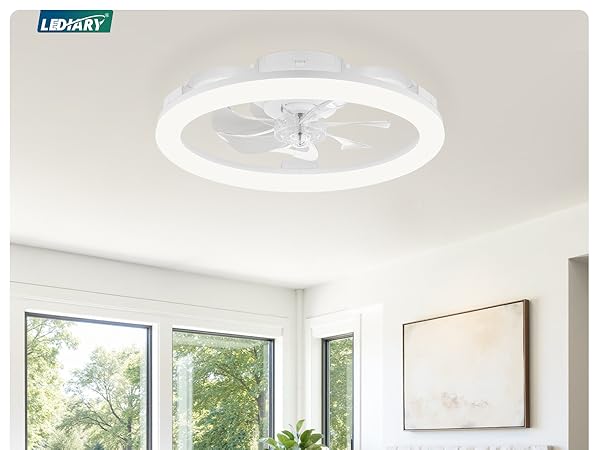 ceiling fans with lights