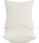 Leeden 18x18 Pillow Inserts Set of 2-18 Inch Decorative Throw Pillow Insert, Soft Fluffy Square T...
