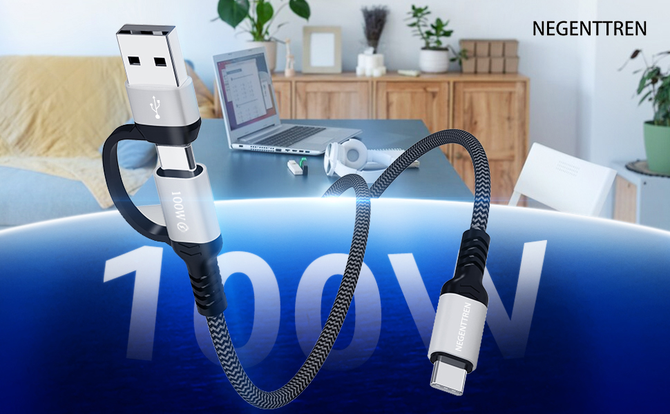 20 in 1 100W A/C to C Cable