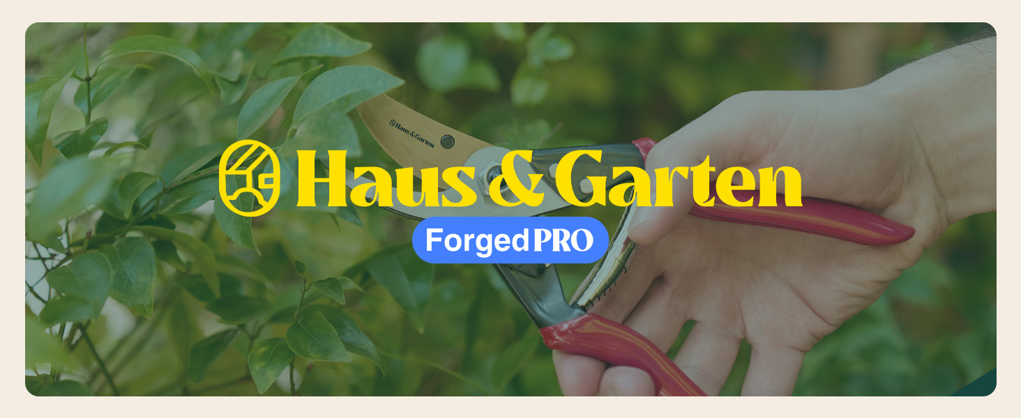 ForgedPRO 1